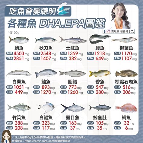 魚有幾種|世界上到底有多少種魚類呢？